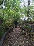 IMG_2427.JPG