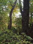 IMG_2428.JPG