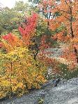 IMG_2430.JPG