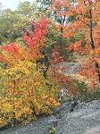 IMG_2431.JPG