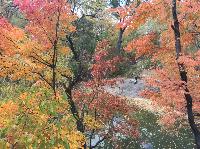 IMG_2446.JPG