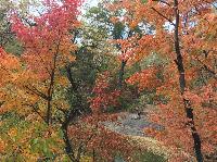 IMG_2448.JPG