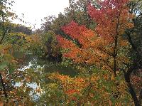 IMG_2450.JPG
