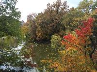 IMG_2451.JPG