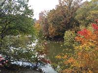 IMG_2452.JPG