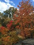 IMG_2456.JPG