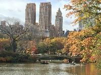 IMG_2462.JPG