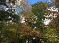 IMG_2492.JPG