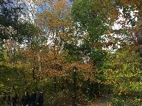 IMG_2493.JPG