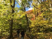 IMG_2503.JPG
