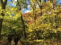 IMG_2504.JPG