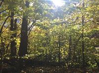 IMG_2506.JPG