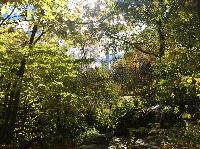 IMG_2507.JPG
