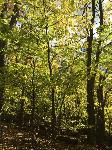 IMG_2508.JPG