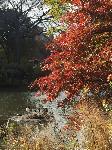 IMG_2555.JPG