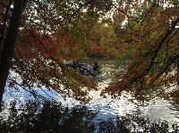 IMG_2560.JPG
