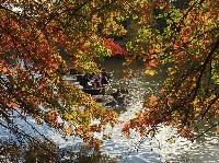 IMG_2561.JPG