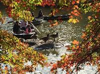 IMG_2564.JPG