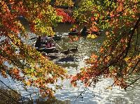 IMG_2565.JPG