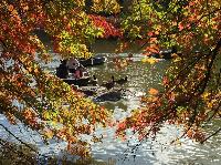 IMG_2566.JPG