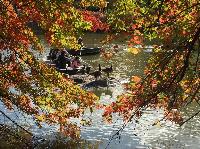 IMG_2567.JPG