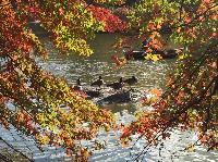 IMG_2573.JPG