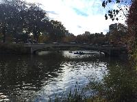 IMG_2579.JPG