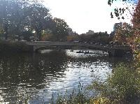 IMG_2580.JPG