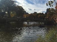 IMG_2588.JPG