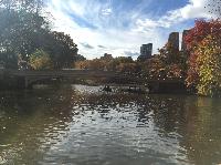 IMG_2598.JPG