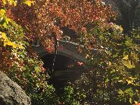 IMG_2635.JPG