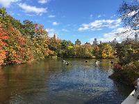 IMG_2648.JPG
