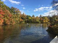 IMG_2649.JPG