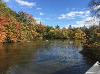 IMG_2650.JPG
