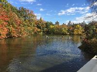 IMG_2651.JPG