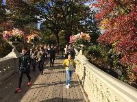 IMG_2672.JPG