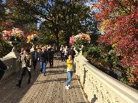 IMG_2676.JPG