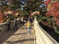 IMG_2679.JPG