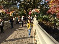 IMG_2683.JPG