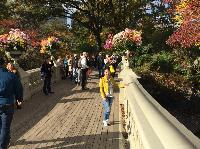 IMG_2687.JPG
