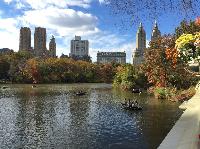 IMG_2709.JPG