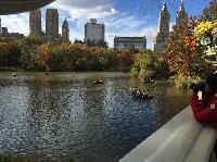 IMG_2711.JPG
