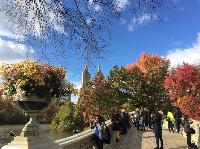 IMG_2720.JPG