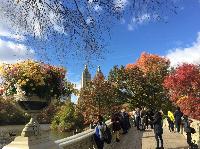 IMG_2721.JPG