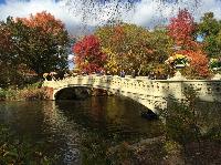 IMG_2754.JPG