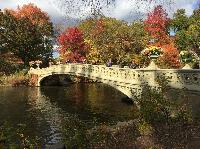 IMG_2755.JPG