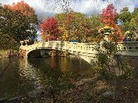 IMG_2758.JPG