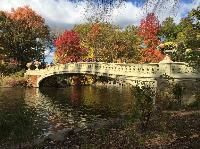 IMG_2762.JPG