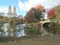 IMG_2803.JPG