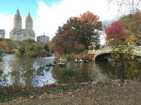 IMG_2806.JPG